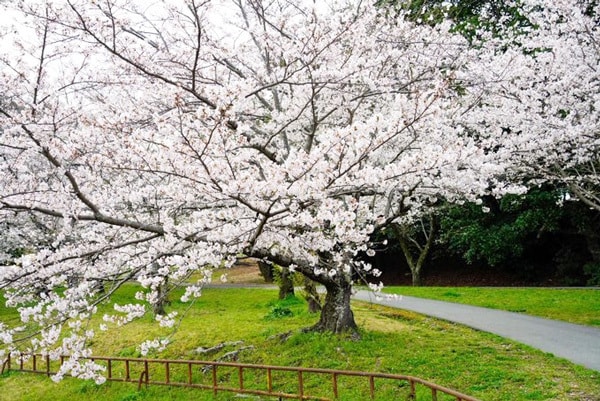 豊橋市公会堂のコスプレイベント