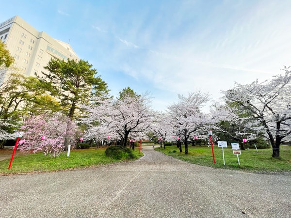 豊橋市公会堂のコスプレイベント