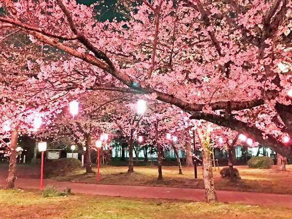豊橋市公会堂のコスプレイベント