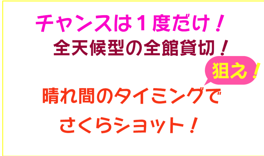 魅力が満載の豊橋公会堂コスプレイベント