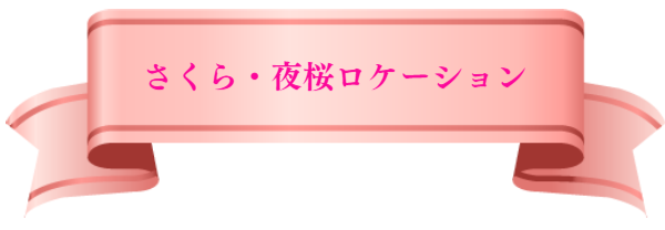 桜のコスプレ撮影も可能